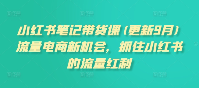 小红书笔记带货课(更新25年4月)流量电商新机会，抓住小红书的流量红利-星火轻创