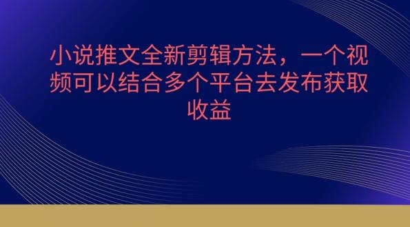 小说推文全新剪辑方法，一个视频可以结合多个平台去发布获取【揭秘】-星火轻创