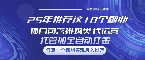 25年推荐这10个副业项目包含褂鸡类、代运营托管类、全自动打金类【揭秘】-星火轻创