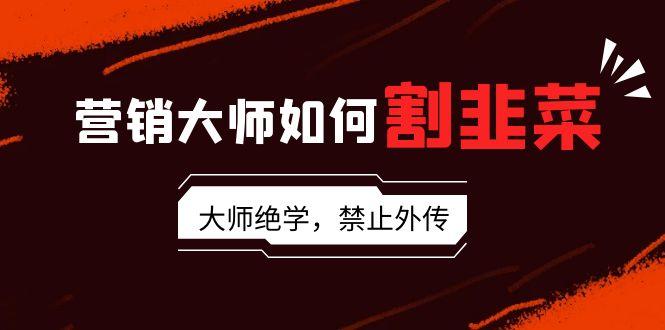 营销大师如何割韭菜：流量大师/讲故事大师/话术大师/卖货大师/成交大师/…-星火轻创