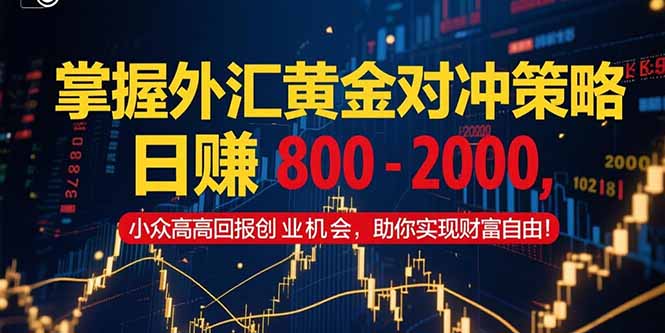 掌握外汇黄金对冲策略，日赚 800 – 2000，小众高回报创业机会，助你实…-星火轻创