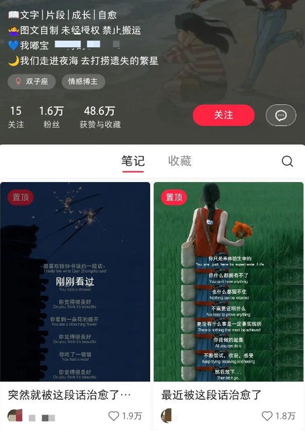 小红书治愈文案图文笔记,零门槛,一分钟制作轻松制作爆款作品月入万元-星火轻创
