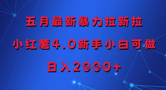 五月最新暴力拉新拉，小红薯4.0新手小白可做，日入多张-星火轻创