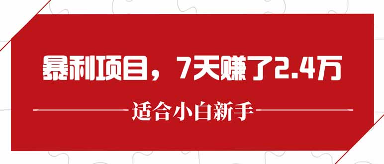 最新暴利项目，每单收益轻松在300以上，7天赚了2.4万-星火轻创