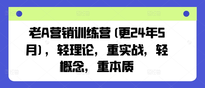 老A营销训练营(更24年11月)，轻理论，重实战，轻概念，重本质-星火轻创
