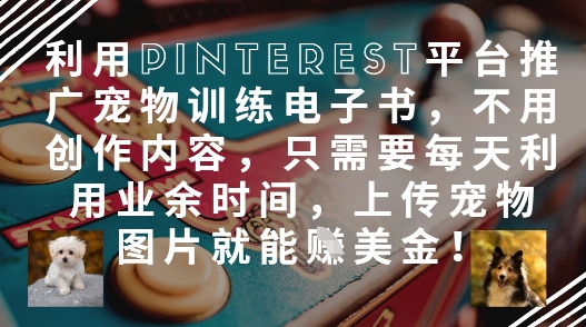 利用Pinterest平台推广宠物训练电子书，不用创作内容，只需要每天利用业余时间，上传宠物图片就能挣美金!-小艾项目网