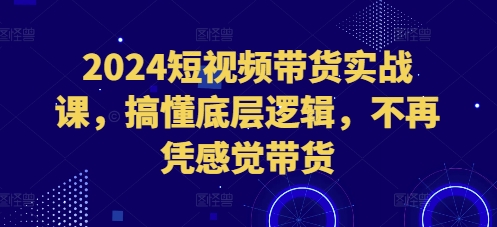 2024短视频带货实战课，搞懂底层逻辑，不再凭感觉带货-星火轻创