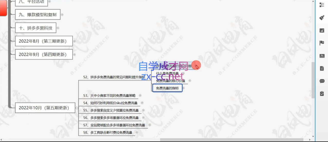 白凤电商·拼多多日销千单训练营(更新4月)-星火轻创