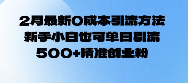 2月最新0成本引流方法，新手小白也可单日引流500+精准创业粉-星火轻创