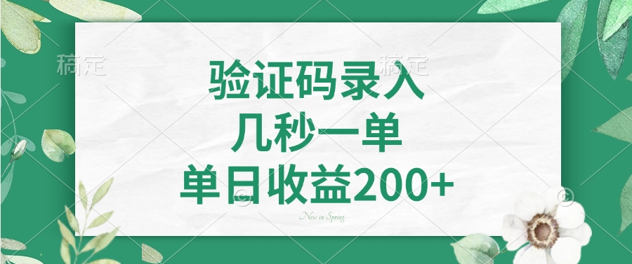 验证码录入，几秒一单，单日收益200+-星火轻创