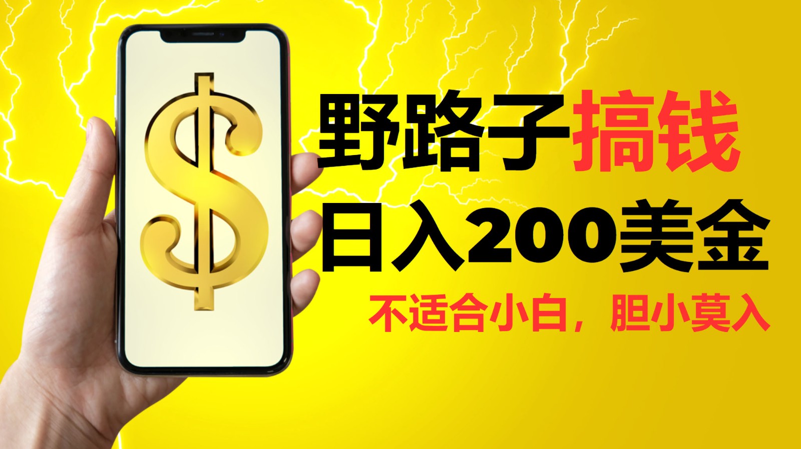 挂机野路子搞钱，日入200美金，路子很野，小白莫入-小艾项目网