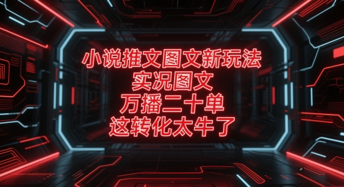 小说推文图文新玩法,实况图文,万播二十单,这转化太牛了!