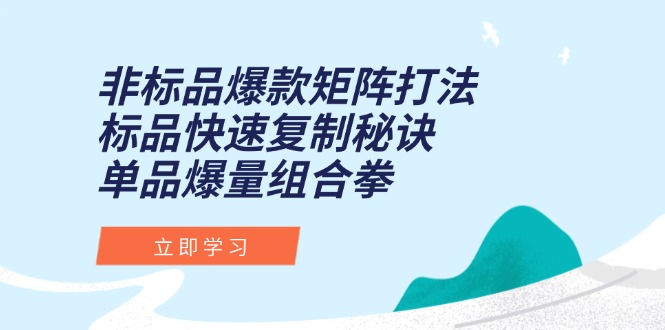 非标品爆款矩阵打法，标品快速复制秘诀，单品爆量组合拳-星火轻创