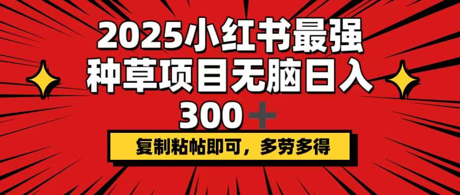 2025小红书最强种草项目，无脑日入300+，复制粘帖即可，多劳多得-星火轻创