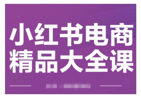 小红书电商精品大全课，快速掌握小红书运营技巧，实现精准引流与爆单目标，轻松玩转小红书电商(更新2月)-星火轻创