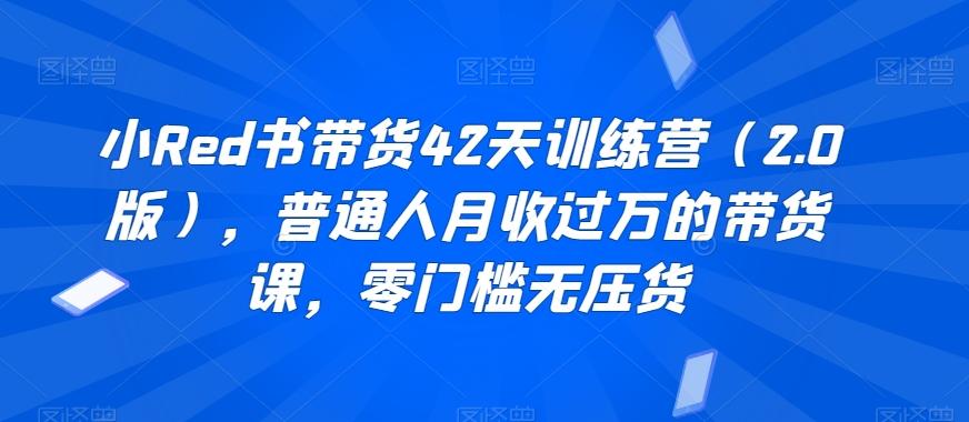 小Red书带货42天训练营(2.0版)，普通人月收过万的带货课，零门槛无压货-星火轻创