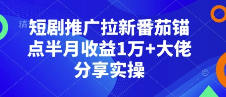 短剧推广拉新番茄锚点半月收益1万+大佬分享实操-星火轻创