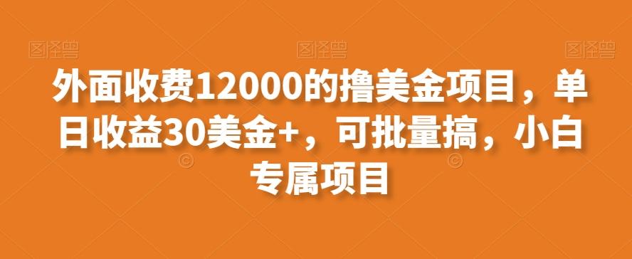 外面收费12000的撸美金项目，单日收益30美金+，可批量搞，小白专属项目-星火轻创