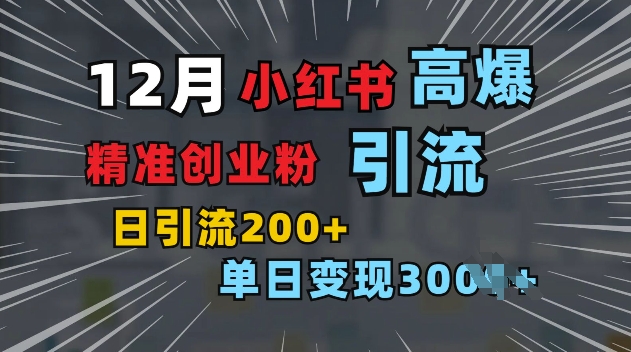 小红书一张图片“引爆”创业粉，单日+200+精准创业粉 可筛选付费意识创业粉【揭秘】-星火轻创