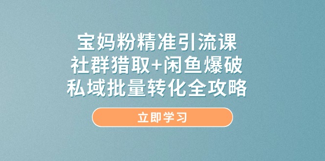 宝妈粉精准引流课，社群猎取+闲鱼爆破，私域批量转化全攻略-星火轻创