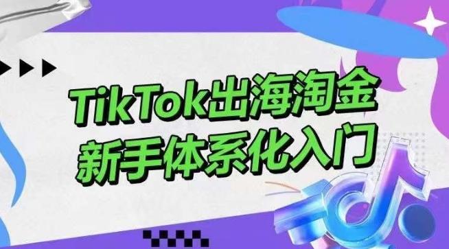 TikTok出海淘金，新手体系化入门，零基础快速入门，掌握短视频、直播带货等引流到变现的知识-星火轻创