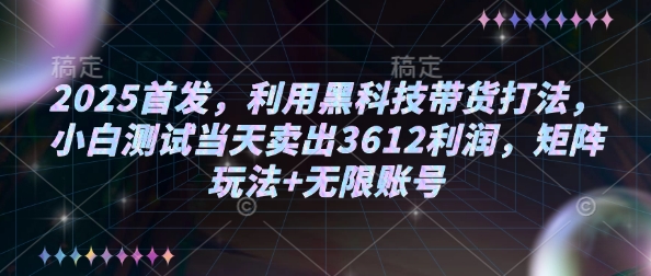 2025首发，利用黑科技带货打法，小白测试当天卖出3612利润，矩阵玩法+无限账号【揭秘】-星火轻创