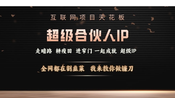 互联网项目天花板，超级合伙人IP，全网都在割韭菜，我来教你做镰刀【仅揭秘】-星火轻创