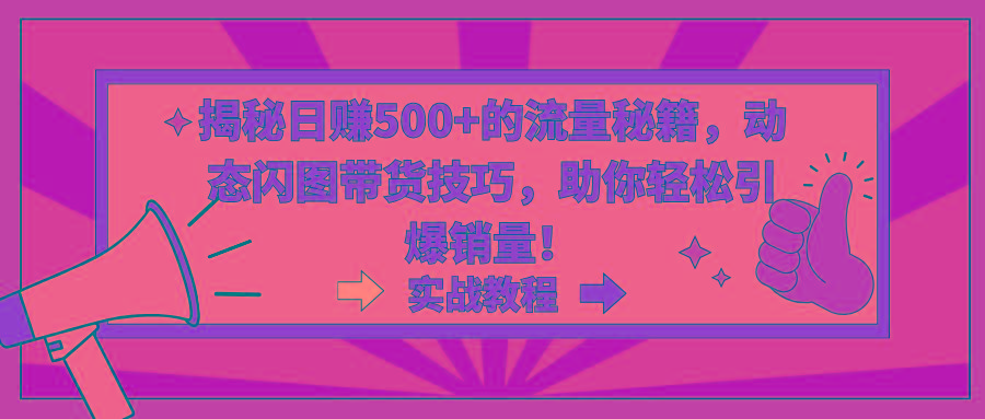 揭秘日赚500+的流量秘籍，动态闪图带货技巧，助你轻松引爆销量！-星火轻创