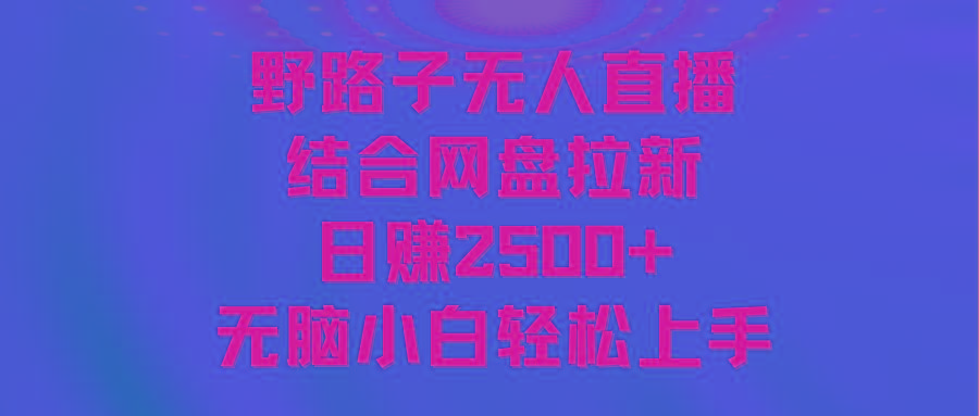 无人直播野路子结合网盘拉新，日赚2500+多平台变现，小白无脑轻松上手操作-星火轻创