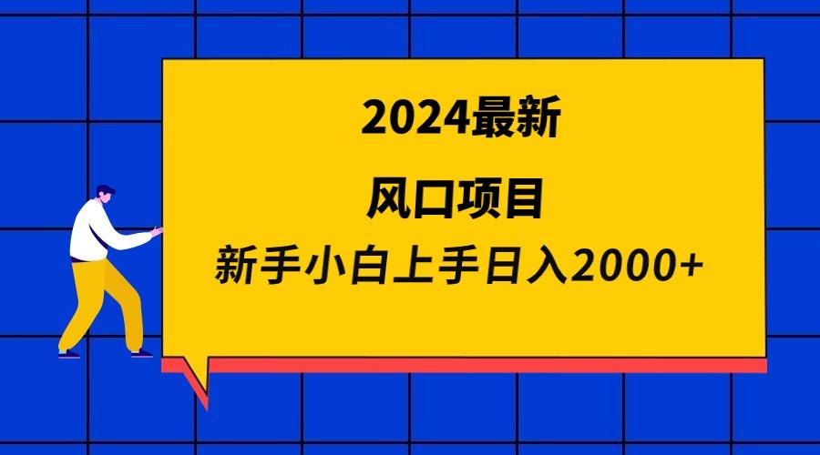 (9483期)2024最新风口项目 新手小白日入2000+-星火轻创