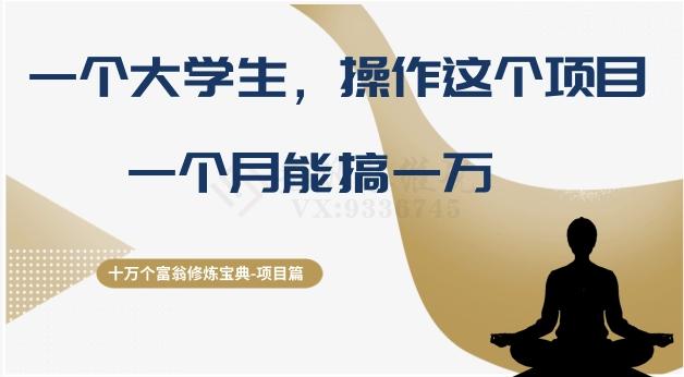 十万个富翁修炼宝典之4.一个大学生操作这个项目，一个月能搞一万-星火轻创