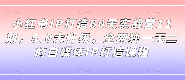 小红书IP打造60天实战营11期，5.0大升级，全网独一无二的自媒体IP打造课程-星火轻创