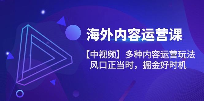海外内容 运营课【中视频】多种内容运营玩法 风口正当时 掘金好时机-101节-星火轻创