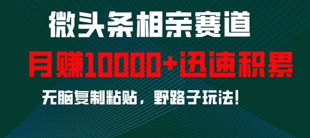 微头条相亲赛道，迅速积累，无脑复制粘贴，野路子玩法，月入1w-星火轻创