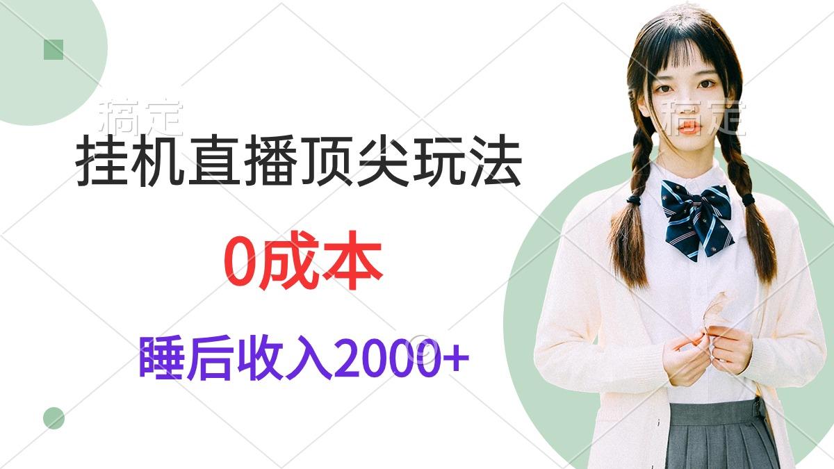 (9715期)挂机直播顶尖玩法，睡后日收入2000+、0成本，视频教学-星火轻创
