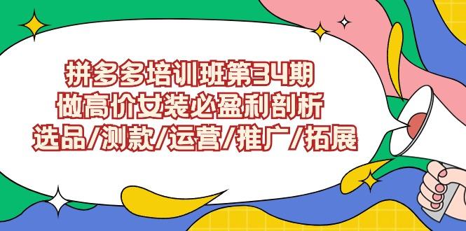 (9333期)拼多多培训班第34期：做高价女装必盈利剖析  选品/测款/运营/推广/拓展-星火轻创
