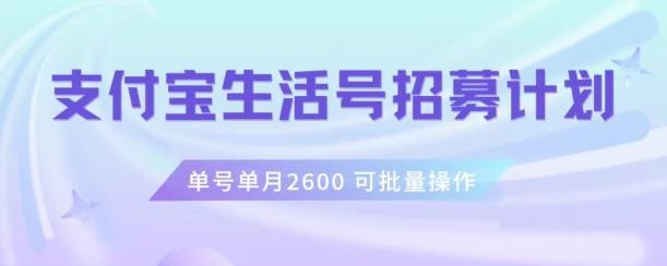 支付宝生活号作者招募计划，单号单月2600，可批量去做，工作室一人一个月轻松1w+【揭秘】-星火轻创