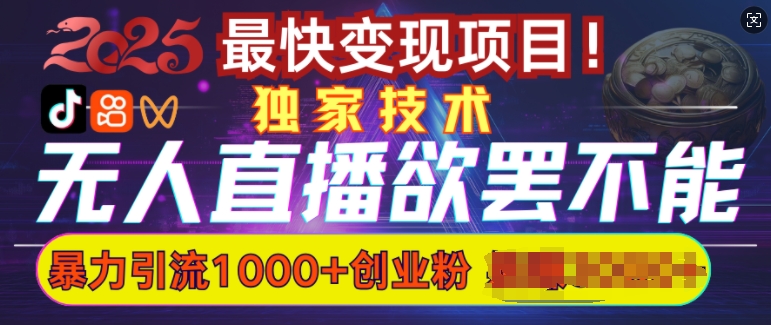 欲罢不能的无人直播引流，超暴力日引流1000+高质量精准创业粉-星火轻创