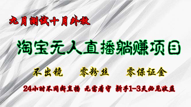 淘宝无人直播最新玩法，九月测试十月外放，不出镜零粉丝零保证金，24小…-星火轻创