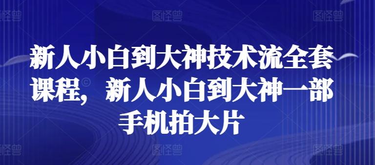 新人小白到大神技术流全套课程，新人小白到大神一部手机拍大片-星火轻创