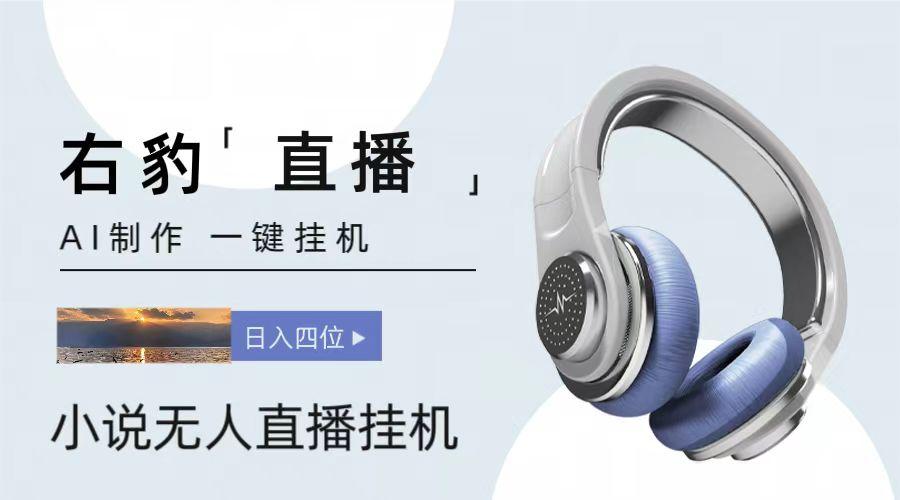 右豹小说无人直播挂机吸金项目,简单易行收益稳定, 月入1000+-星火轻创