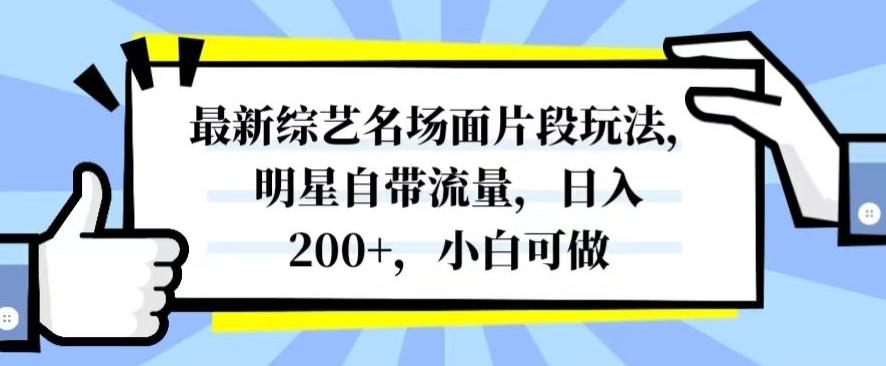 最新综艺名场面片段玩法，明星自带流量，日入200+，小白可做【揭秘】-星火轻创