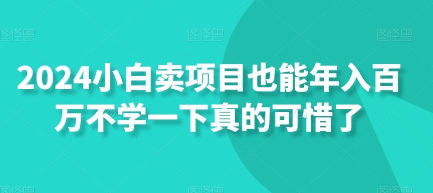 2024小白卖项目也能年入百万不学一下真的可惜了-星火轻创