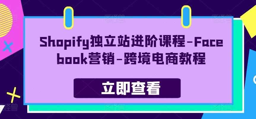 Shopify独立站进阶课程-Facebook营销-跨境电商教程-星火轻创