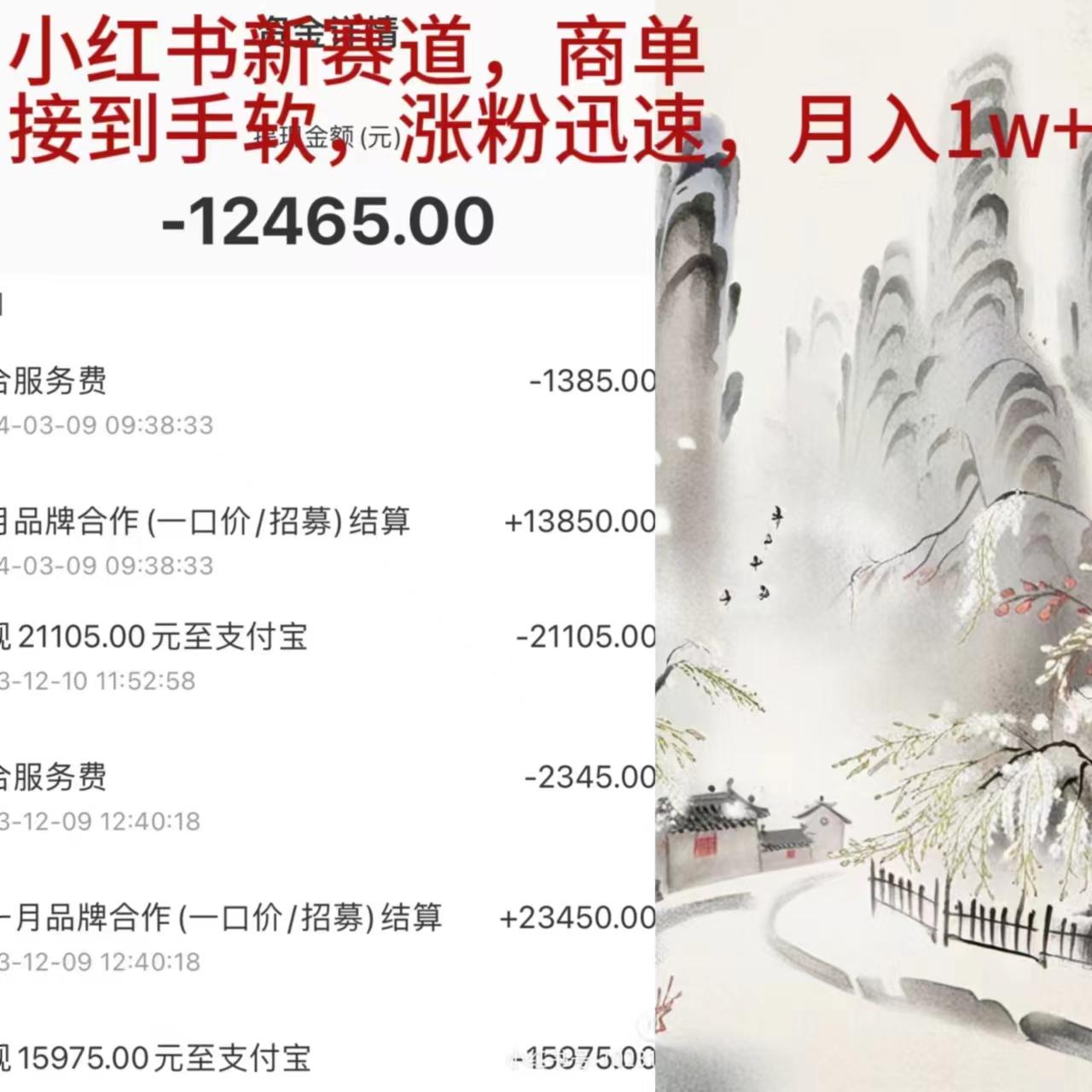 (9476期)小红书新赛道，商单接到手软，涨粉迅速，月入1w+-星火轻创