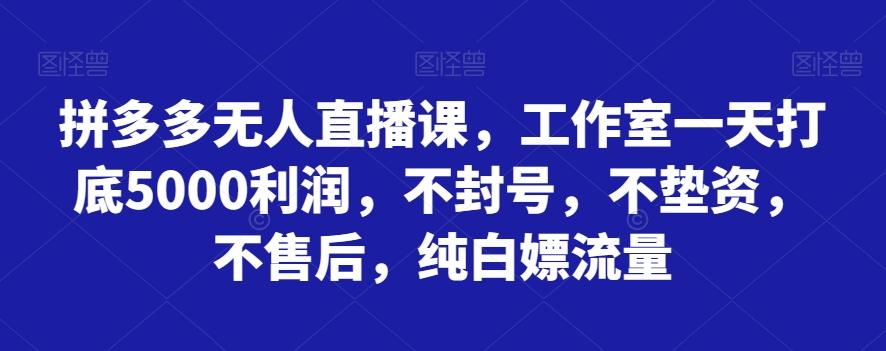 拼多多无人直播课，工作室一天打底5000利润，不封号，不垫资，不售后，纯白嫖流量-星火轻创