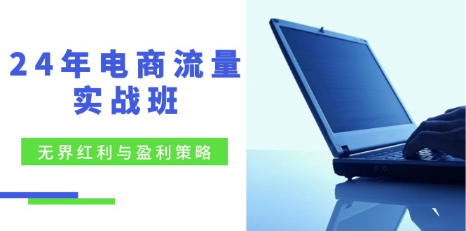 24年电商流量实战班：无界 红利与盈利策略，终极提升/关键词优化/精准…-星火轻创