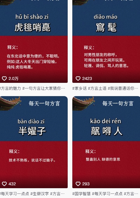 抖音最新涨粉玩法，图文方言暴力涨粉实操，126作品涨粉11W-星火轻创