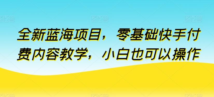 全新蓝海项目，零基础快手付费内容教学，小白也可以操作【揭秘】-星火轻创