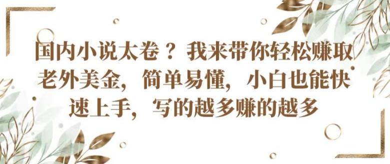 国内小说太卷 ?带你轻松赚取老外美金，简单易懂，小白也能快速上手，写的越多赚的越多【揭秘】-星火轻创